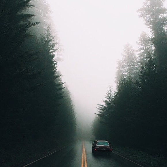 meet your posher, bella! - Picture 1 of 2